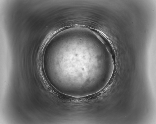 X0000085750241200703161101