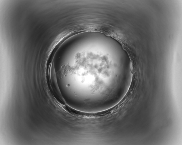 X0000085750242200703161101