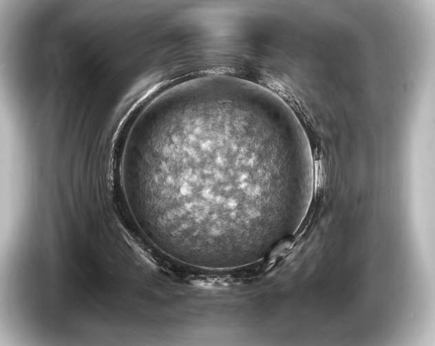 X0000085750243200703161101