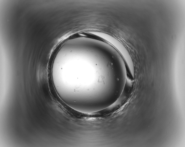 X0000085750244200703161101
