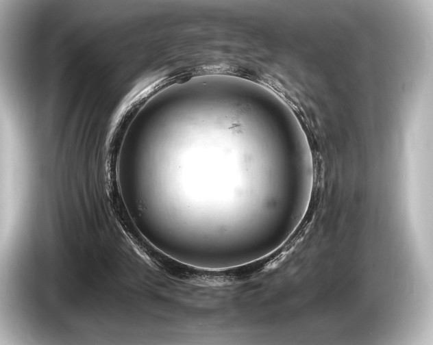 X0000085750245200703161101