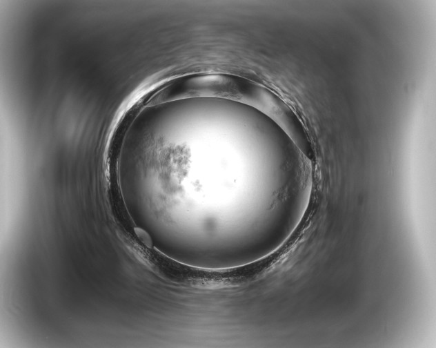 X0000085750246200703161101
