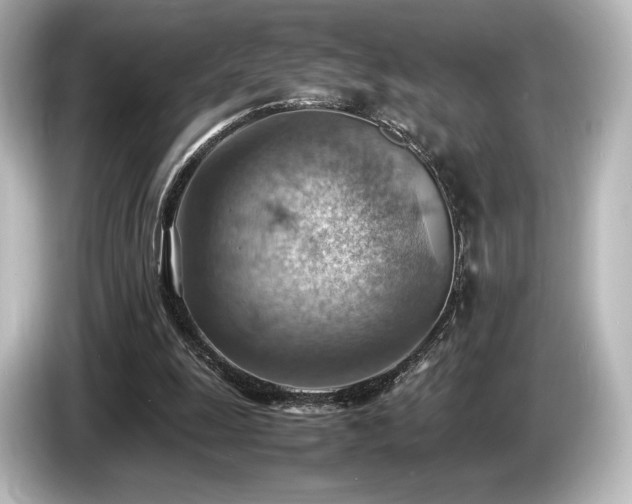 X0000085750247200703161101
