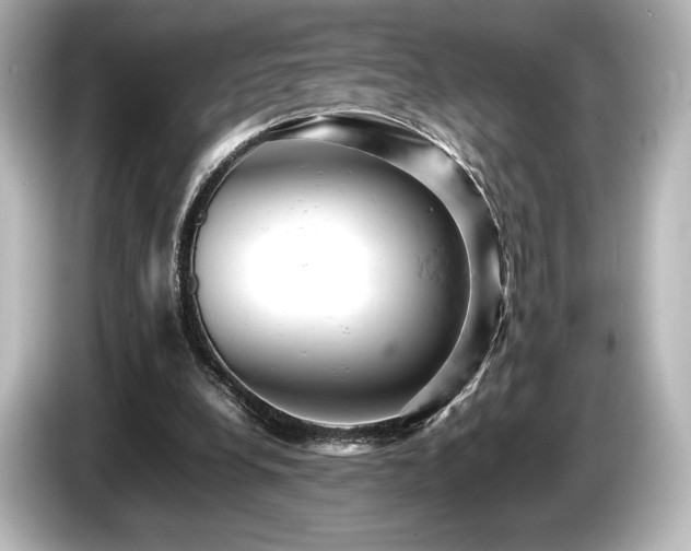 X0000085750248200703161101