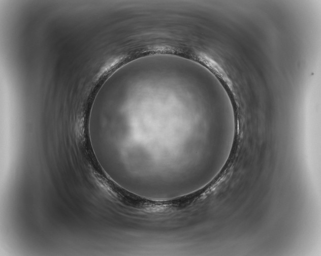 X0000085750249200703161101