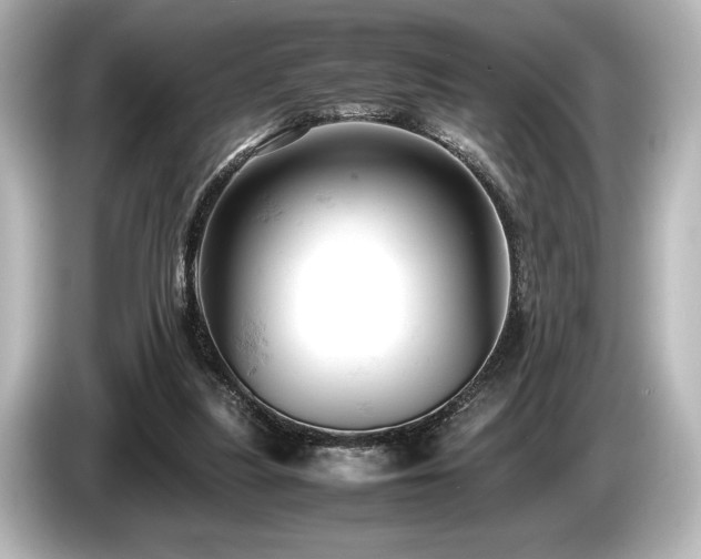 X0000085750251200703161101