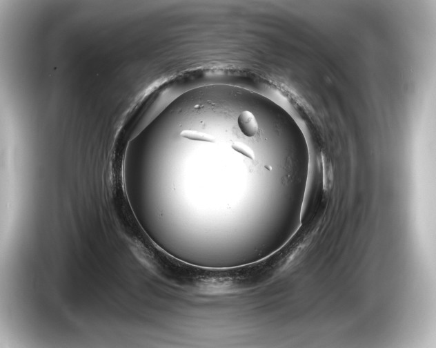 X0000085750252200703161101