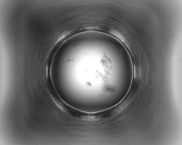 X0000085750253200703161101