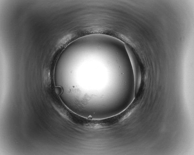 X0000085750254200703161101