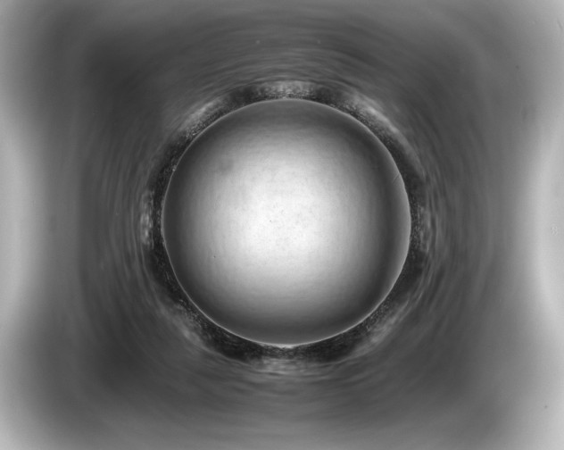 X0000085750259200703161101