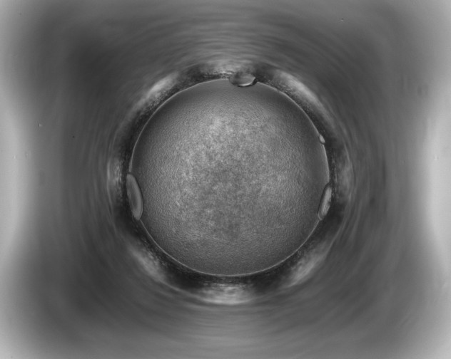 X0000085750260200703161101
