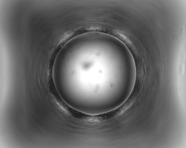 X0000085750261200703161101