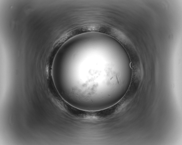 X0000085750262200703161101