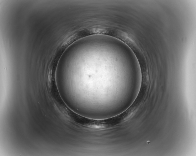 X0000085750263200703161101