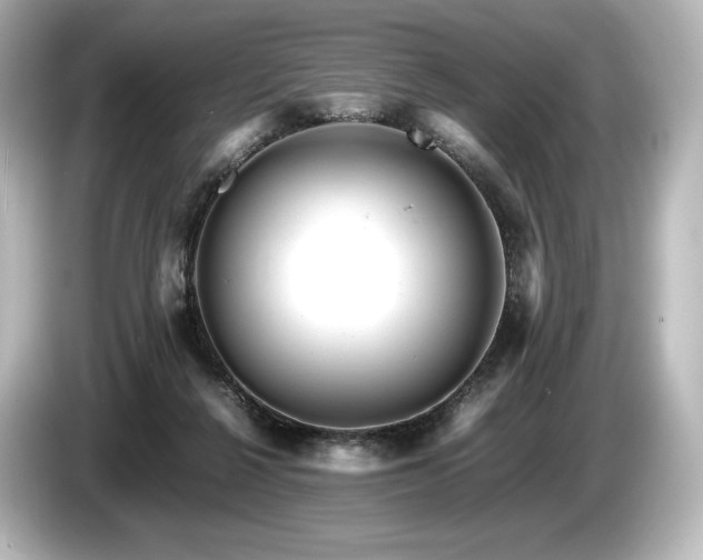 X0000085750264200703161101