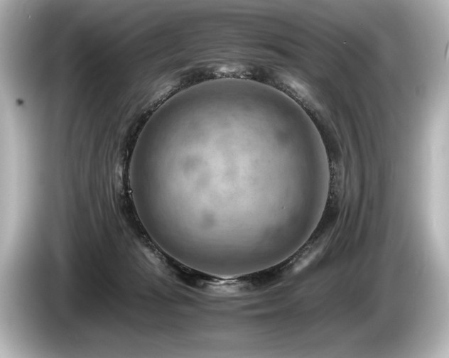 X0000085750269200703161102