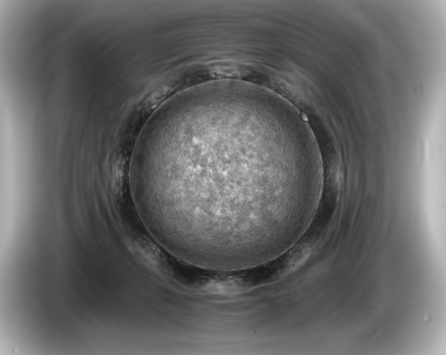X0000085750271200703161102