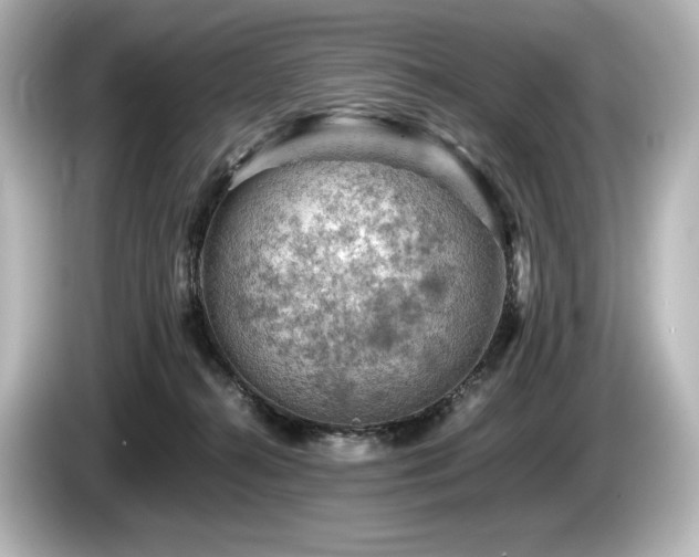 X0000085750272200703161102
