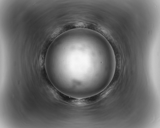 X0000085750273200703161102