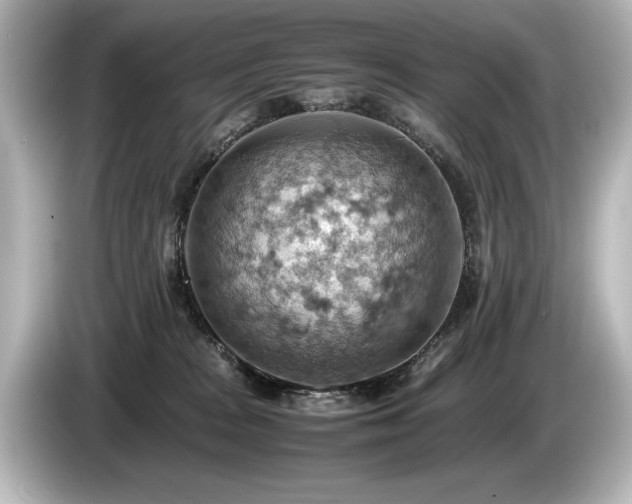 X0000085750277200703161102
