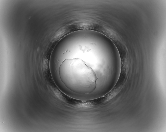 X0000085750278200703161102