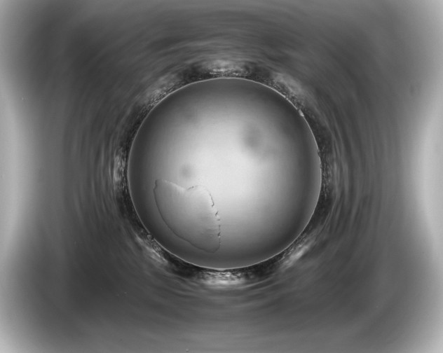 X0000085750281200703161102