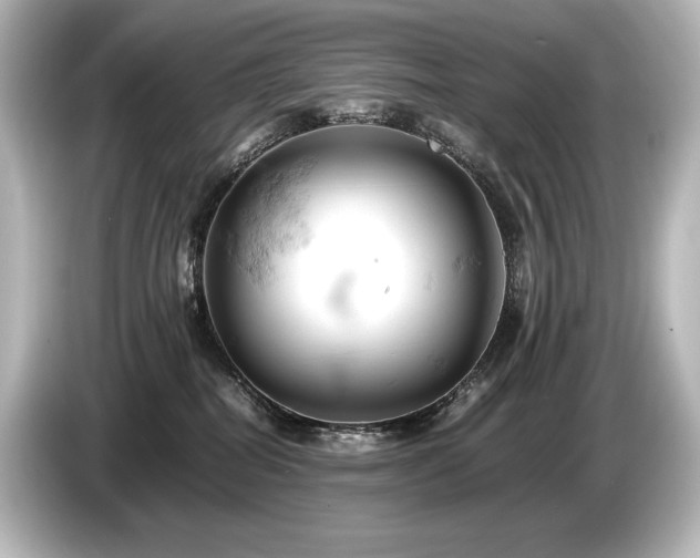 X0000085750282200703161102