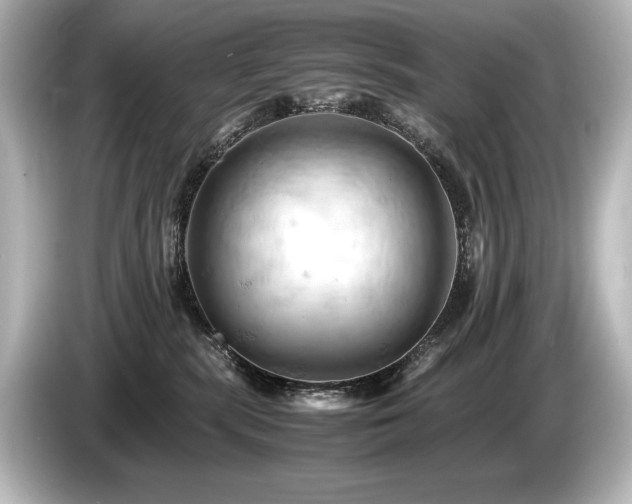 X0000085750283200703161102