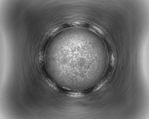 X0000085750284200703161102