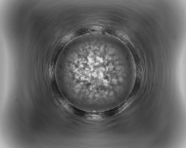 X0000085750285200703161102