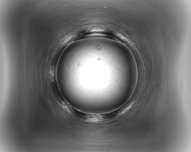 X0000085750288200703161102