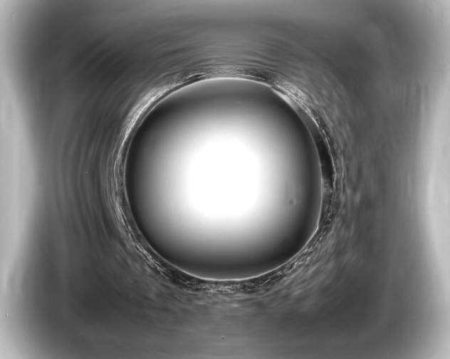 X0000085750289200703161101