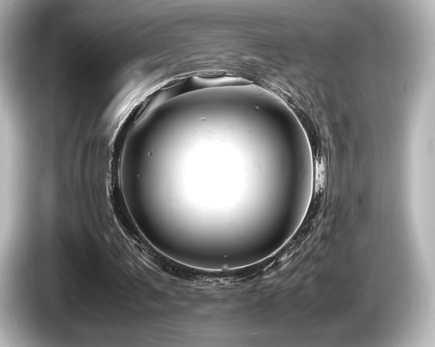 X0000085750291200703161101