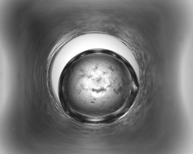X0000085750293200703161101
