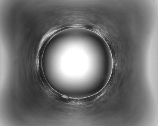 X0000085750294200703161101