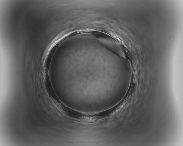 X0000085750295200703161101