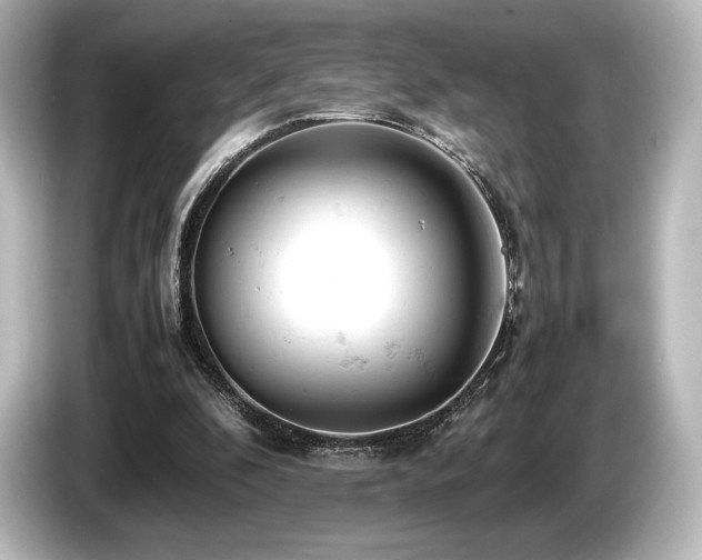 X0000085750296200703161101