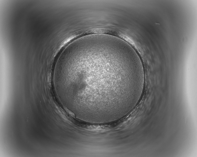 X0000085750297200703161101