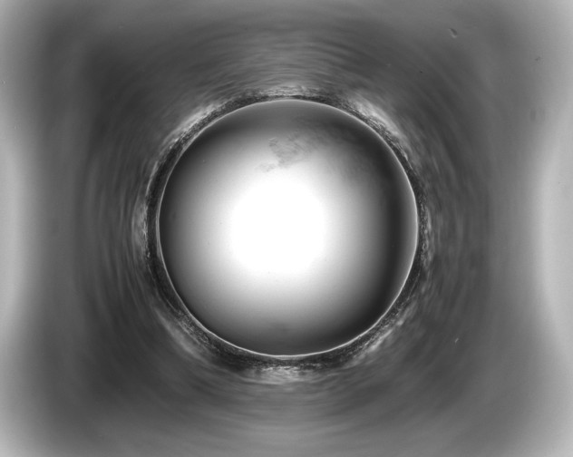 X0000085750298200703161101