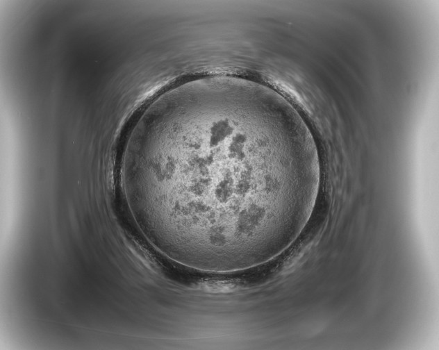 X0000085750299200703161101