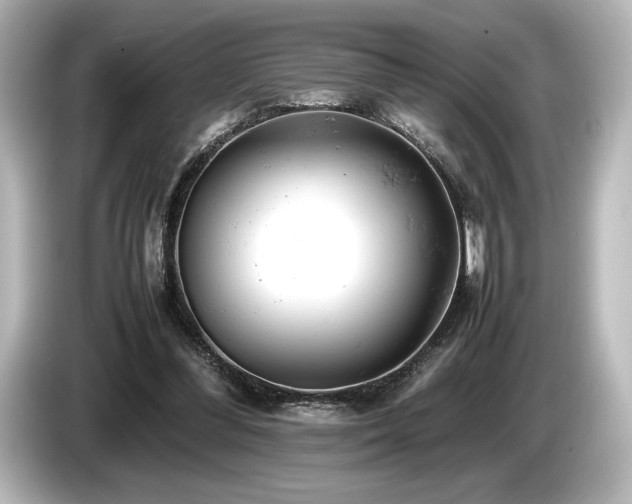 X0000085750300200703161101
