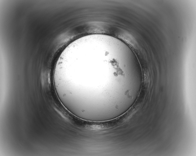 X0000085750302200703161101