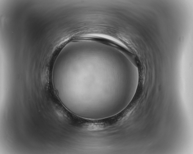 X0000085750303200703161101