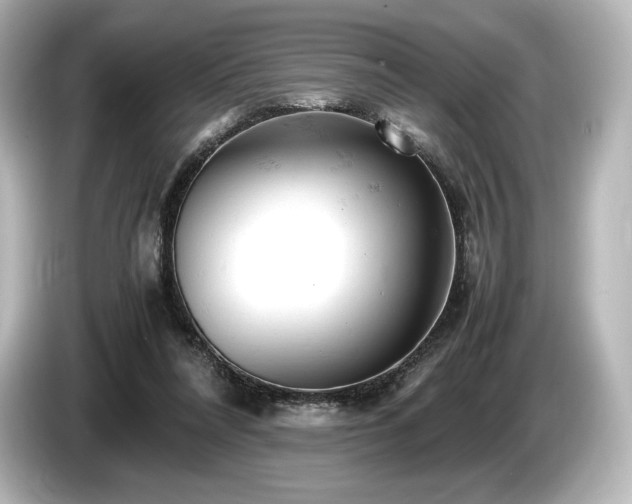 X0000085750304200703161101