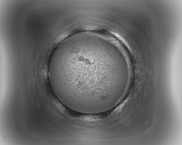 X0000085750305200703161101