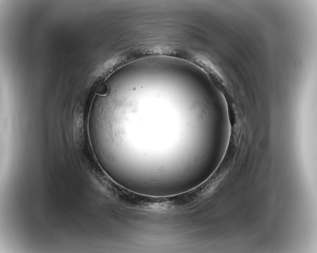 X0000085750306200703161101