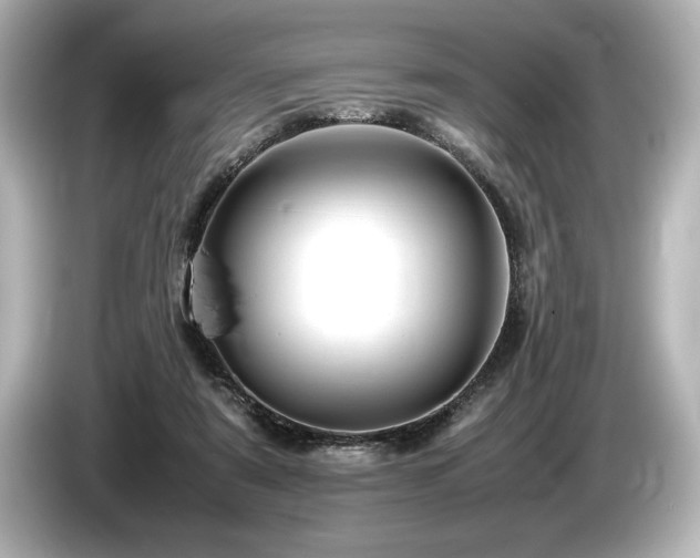 X0000085750307200703161101