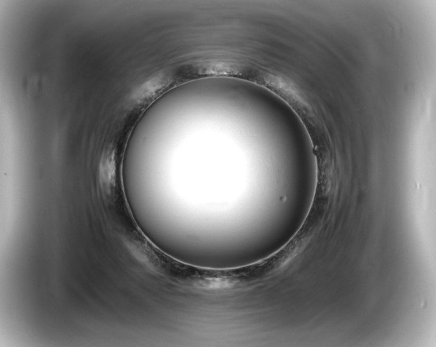 X0000085750310200703161101