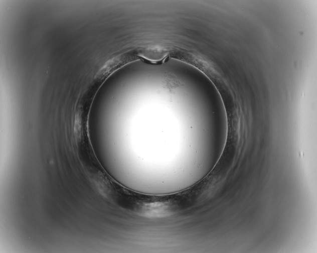 X0000085750312200703161101