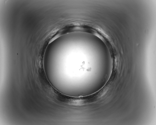 X0000085750313200703161101